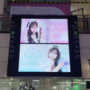 驿三站maxvision